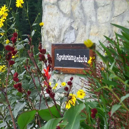 Agroturismo Ordaola Country house